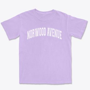 Norwood Avenue Elementary School Varsity Arch Premium Heavyweight T-shirt