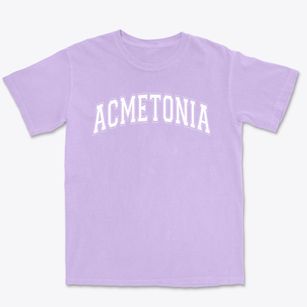 Acmetonia Primary School Varsity Arch Premium Heavyweight T-shirt