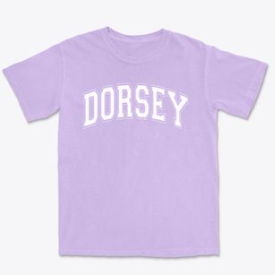 Dorsey Elementary School Varsity Arch Premium Heavyweight T-shirt