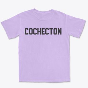 Cochecton New York Classic Block Premium Heavyweight T-shirt