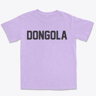 Dongola Illinois Classic Block Premium Heavyweight T-shirt