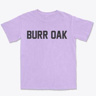 Burr Oak Iowa Classic Block Premium Heavyweight T-shirt