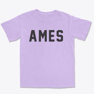 Ames New York Classic Block Premium Heavyweight T-shirt