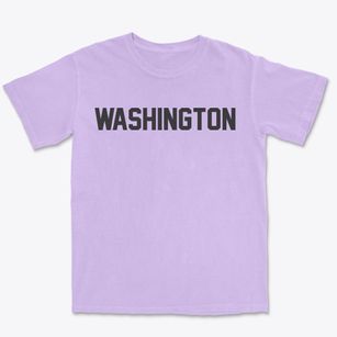 Washington Indiana Classic Block Premium Heavyweight T-shirt