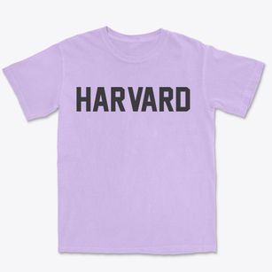 Harvard Illinois Classic Block Premium Heavyweight T-shirt