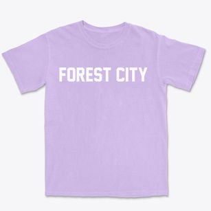 Forest City Missouri Classic Block Premium Heavyweight T-shirt