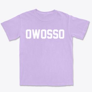 Owosso Michigan Classic Block Premium Heavyweight T-shirt