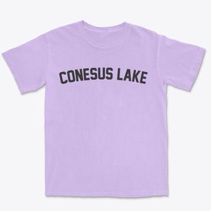 Conesus Lake New York Classic Curve Premium Heavyweight T-shirt