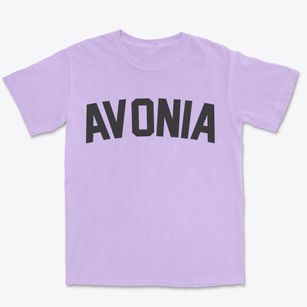 Avonia Pennsylvania Classic Curve Premium Heavyweight T-shirt
