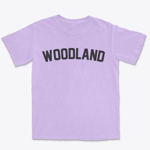 Woodland Wisconsin Classic Curve Premium Heavyweight T-shirt