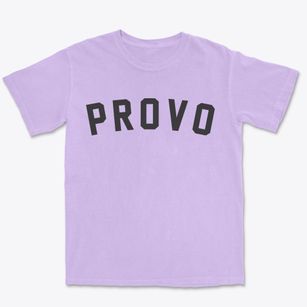 Provo Utah Classic Curve Premium Heavyweight T-shirt