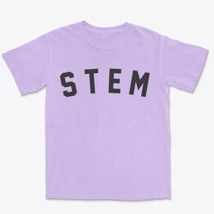 Stem North Carolina Classic Curve Premium Heavyweight T-shirt