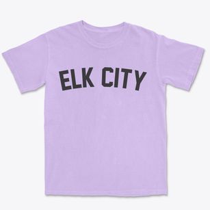Elk City Idaho Classic Curve Premium Heavyweight T-shirt