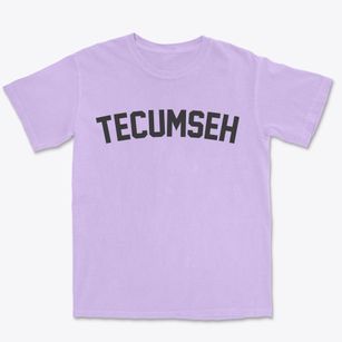 Tecumseh Michigan Classic Curve Premium Heavyweight T-shirt