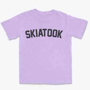 Skiatook Oklahoma Classic Curve Premium Heavyweight T-shirt