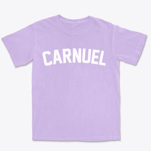 Carnuel New Mexico Classic Curve Premium Heavyweight T-shirt
