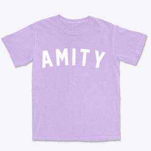 Amity Missouri Classic Curve Premium Heavyweight T-shirt