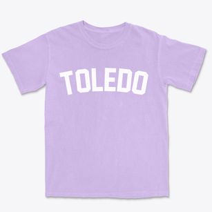 Toledo Ohio Classic Curve Premium Heavyweight T-shirt