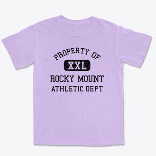 Rocky Mount Virginia Athletic Dept Premium Heavyweight T-shirt