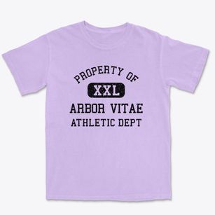Arbor Vitae Wisconsin Athletic Dept Premium Heavyweight T-shirt