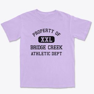 Bridge Creek Wisconsin Athletic Dept Premium Heavyweight T-shirt