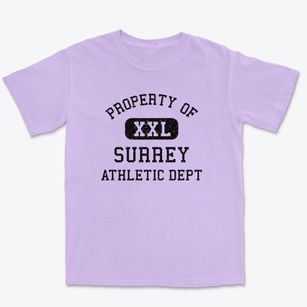 Surrey North Dakota Athletic Dept Premium Heavyweight T-shirt