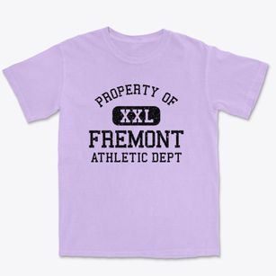 Fremont Iowa Athletic Dept Premium Heavyweight T-shirt