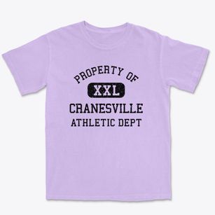 Cranesville Pennsylvania Athletic Dept Premium Heavyweight T-shirt