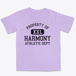 Harmony New Jersey Athletic Dept Premium Heavyweight T-shirt