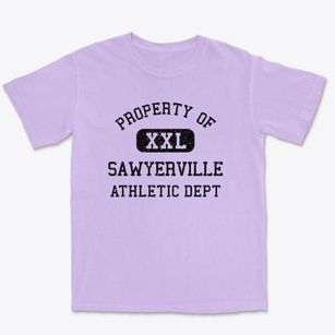 Sawyerville Illinois Athletic Dept Premium Heavyweight T-shirt
