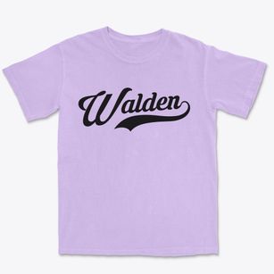 Walden New York Vintage Team Premium Heavyweight T-shirt