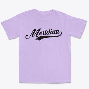 Meridian Mississippi Vintage Team Premium Heavyweight T-shirt