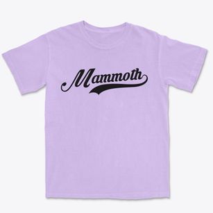 Mammoth Arizona Vintage Team Premium Heavyweight T-shirt