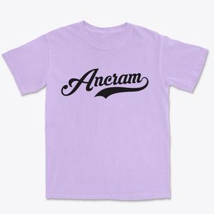 Ancram New York Vintage Team Premium Heavyweight T-shirt