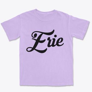 Erie Colorado Vintage Team Premium Heavyweight T-shirt