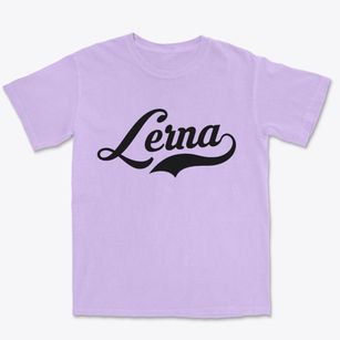 Lerna Illinois Vintage Team Premium Heavyweight T-shirt