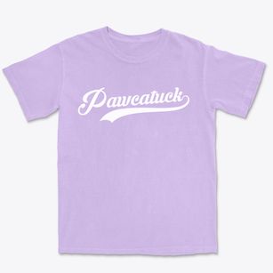Pawcatuck Connecticut Vintage Team Premium Heavyweight T-shirt
