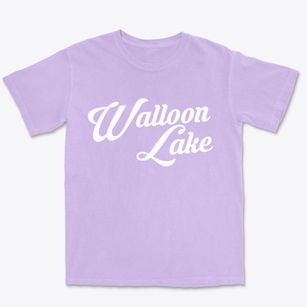 Walloon Lake Michigan Vintage Team Premium Heavyweight T-shirt