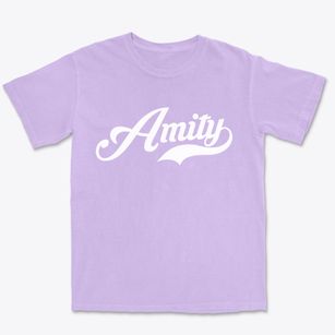 Amity Missouri Vintage Team Premium Heavyweight T-shirt