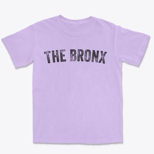 The Bronx New York Timeless Retro Premium Heavyweight T-shirt