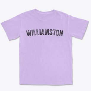 Williamston Michigan Timeless Retro Premium Heavyweight T-shirt
