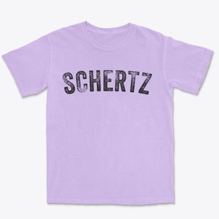Schertz Texas Timeless Retro Premium Heavyweight T-shirt