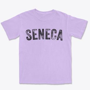 Seneca New York Timeless Retro Premium Heavyweight T-shirt