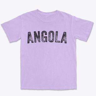 Angola New York Timeless Retro Premium Heavyweight T-shirt