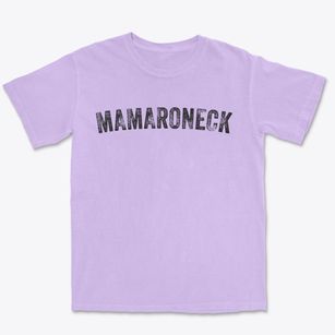 Mamaroneck New York Timeless Retro Premium Heavyweight T-shirt
