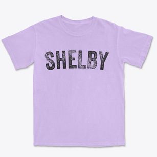 Shelby Alabama Timeless Retro Premium Heavyweight T-shirt