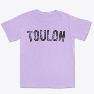Toulon Illinois Timeless Retro Premium Heavyweight T-shirt