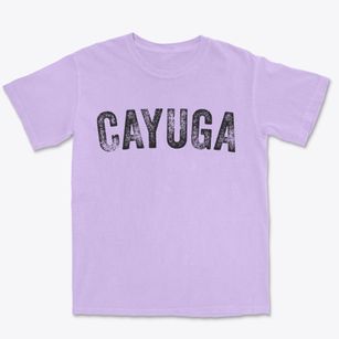 Cayuga New York Timeless Retro Premium Heavyweight T-shirt