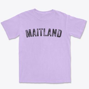 Maitland Florida Timeless Retro Premium Heavyweight T-shirt