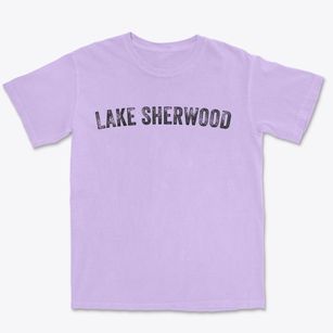 Lake Sherwood Wisconsin Timeless Retro Premium Heavyweight T-shirt